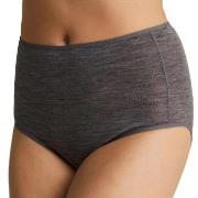 Femilet Trosor Juliana High Waist Brief Grå merinoull 40 Dam