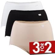 Damella Trosor 3P Classic Cotton Hipster Flerfärgad bomull Large Dam