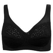 Damella BH Classic Soft Lace Bra Svart A 80 Dam