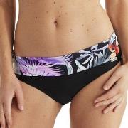 Damella Veronica Tropical Tai Bikini Brief Lila/Svart 38 Dam