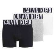 Calvin Klein Kalsonger 3P Intense Power Trunks Vit/Grå bomull XX-Large...