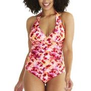 Abecita Haiti Halterneck Swimsuit Svart B/C 42 Dam