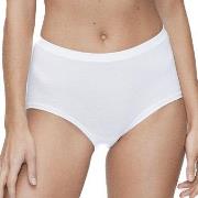 JBS of Denmark Trosor Organic Cotton Maxi Brief Vit ekologisk bomull L...