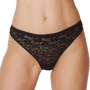 Marie Jo Trosor Color Studio Lace Thong Svart 40 Dam