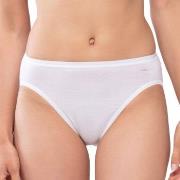 Mey Trosor Lights Jazz Briefs Vit 38 Dam