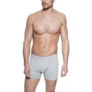 Bread and Boxers Boxer Brief Kalsonger 3P Grå ekologisk bomull Small H...