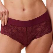 Triumph Trosor Body Make-Up Illusion Lace Shorty Vinröd 36 Dam