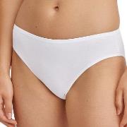Calida Trosor Essential Cotton Brief Vit bomull Medium Dam