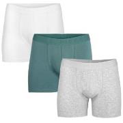 Pierre Robert Kalsonger 3P For Men Boxers Blå/Grå ekologisk bomull X-L...