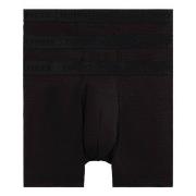 Tommy Hilfiger Kalsonger 3P Everyday Luxe Boxer Briefs Svart Large Her...