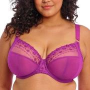 Elomi BH Matilda Underwired Plunge Bra Fuchsia/Lila L 90 Dam