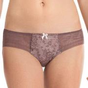 Rosa Faia Trosor Fleur Brief Berry 40 Dam