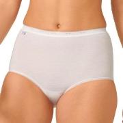 Sloggi Trosor 3P Basic Maxi Vit bomull 54 Dam