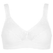 Damella BH Felice Soft Bra Vit bomull D 80 Dam