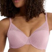 Triumph BH Signature Sheer WHP EX Gammelrosa D 85 Dam