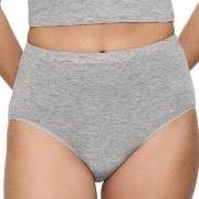 Triumph Trosor Beauty Layers Wool Maxi Brief Grå ull Medium Dam