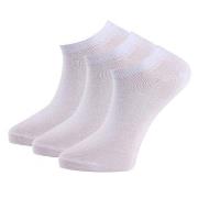 Trofe Cotton Sneaker Socks Strumpor 6P Vit Strl 43/46 Dam
