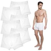 Bread and Boxers Boxer Briefs Kalsonger 6P Vit ekologisk bomull XX-Lar...