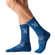 Seger Strumpor Glide Wool Ski Socks Marin/Blå Strl 34/36