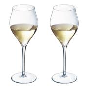 Chef & Sommelier - Exaltation Champagneglas 30 cl 2-pack