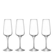 Orrefors - Pulse Champagneglas 28 cl 4-pack