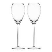 ByOn - Opacity champagneglas 16 cl 2-pack klar