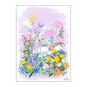 Poster & Frame - Anna Thomsen poster 30x40 cm field of flowers no2