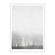 Poster & Frame - Ingrey Studio poster 50x70 cm morning fog