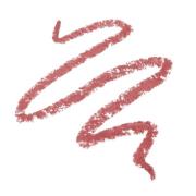 Project Lip Plump and Fill Lip Liner 1.7g (Various Shades) - Chase
