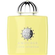 Amouage Love Mimosa Eau de Parfum - 100 ml