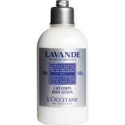 L'Occitane Lavender Body Lotion - 250 ml