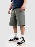 Iriedaily Nanolo Shorts sage