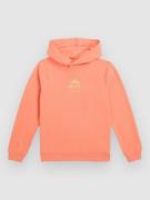 O'Neill Back Print Kids Hoodie  pink