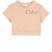 Chloé Logo Kortärmad Sweatshirt Rosa 14 år