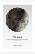 Poster The Moon Light