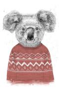 Pelcasa - Poster Winter Koala (Red) - Vit - Posters - Från Homeroom