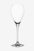 Spiegelau - Champagneglas Special Glasses Party 160 ml 6-pack - Transp...