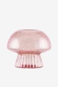 Globen Lighting - Värmeljushållare Fungo Special Edition - Rosa - Ljus...