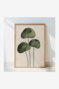 Pelcasa - Gröna blad - Beige - Posters - Från Homeroom