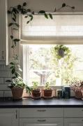 Hasta - Hissgardin Lina - Vit - Hissgardiner - Från Homeroom