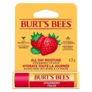 Burt's Bees Lip Balm Strawberry Blister 4,25g