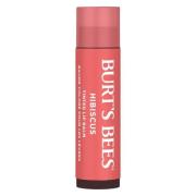 Burt's Bees Tinted Lip Balm Hibiscus 4,25g