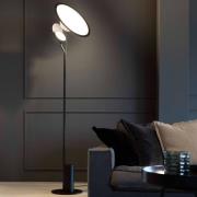 Axo Light Axolight Cut designad LED-golvlampa