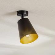 EMIBIG LIGHTING Takstrålare Prism, 1 lampa, svart/guld
