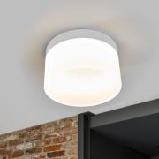 Helestra Liv LED-taklampa Ø 20 cm