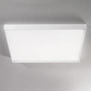 Linea Light LED-taklampa Tara mega, 89 cm x 89 cm