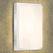 LCD LED-utomhusvägglampa Julea, stål, glas