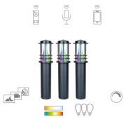 Müller Licht tint Petunia LED-väglampa set om 3