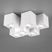 Trio Lighting Taklampa Fernando, 6 lampor, vit matt