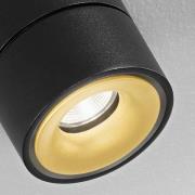 Egger Licht Egger Clippo Duo LED-spotlight, svart-guld 2 700 K